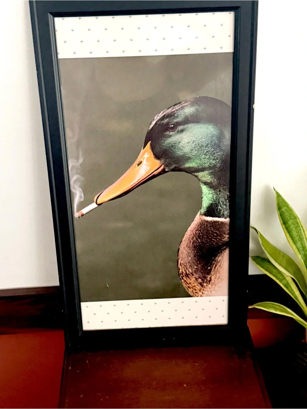 Mallard Duck Smoking a Cigarette Vintage Style Canvas Wall Art Print Black Frame